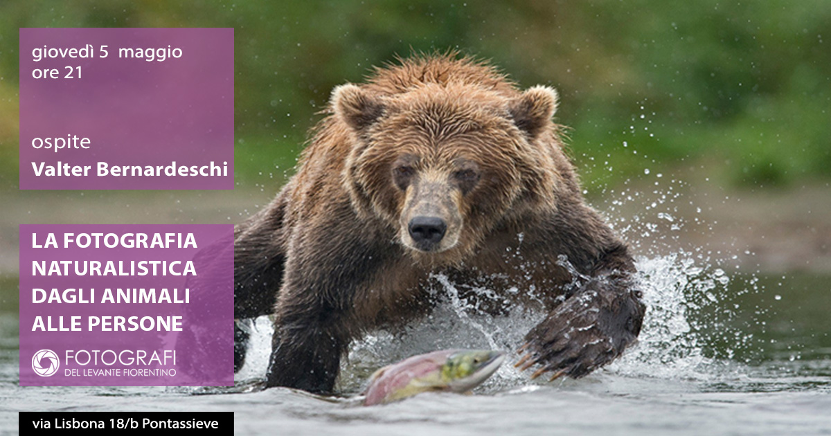 La fotografia naturalistica dagli animali alle persone.