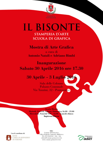 Il Bisonte