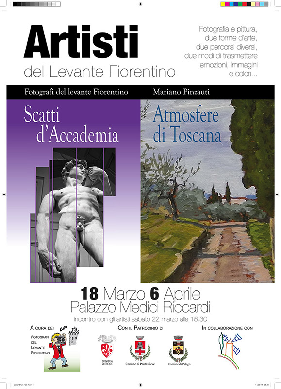 Scatti d'Accademia a...Firenze