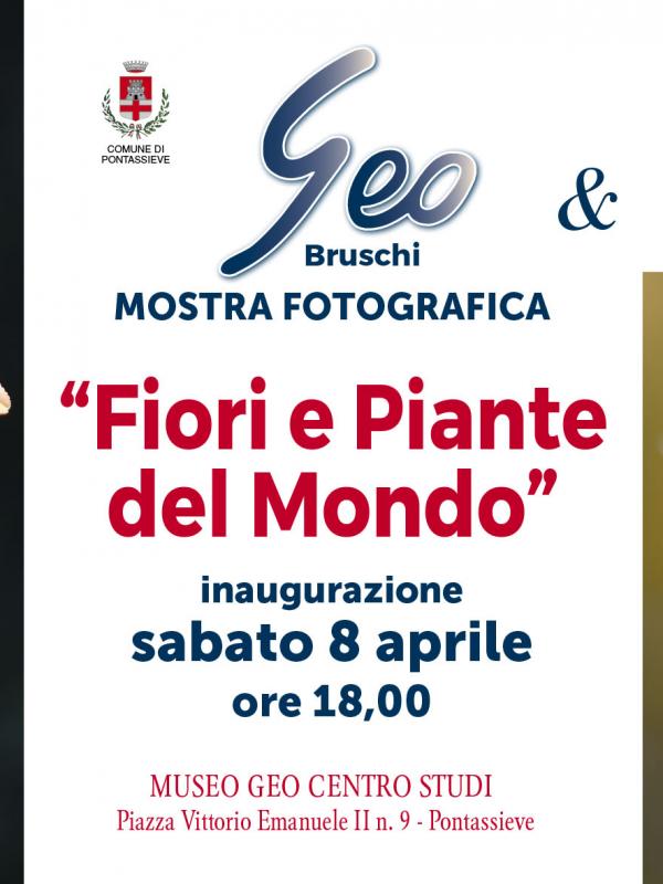 Fiori e Piante del mondo