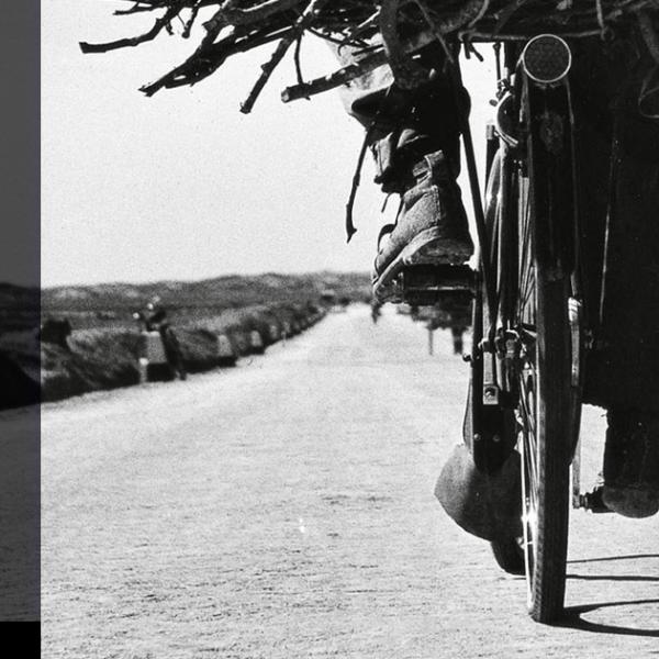 Lezioni di fotografia. Fulvio Roiter